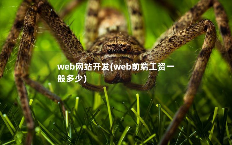 web网站开发(web前端工资一般多少)