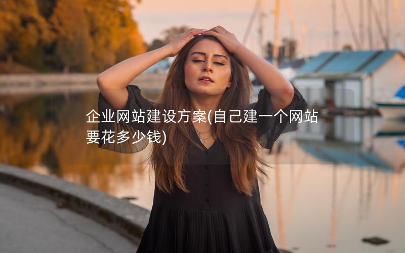 企业网站建设方案(自己建一个网站要花多少钱)
