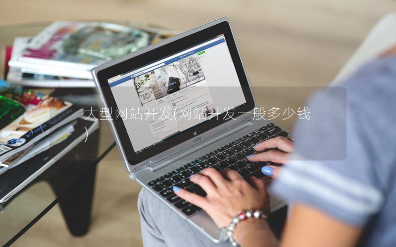 大型网站开发(网站开发一般多少钱)