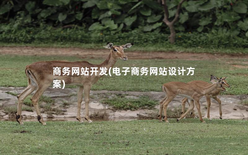 商务网站开发(电子商务网站设计方案)
