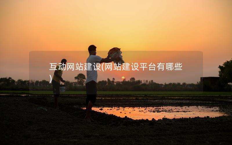 互动网站建设(网站建设平台有哪些)
