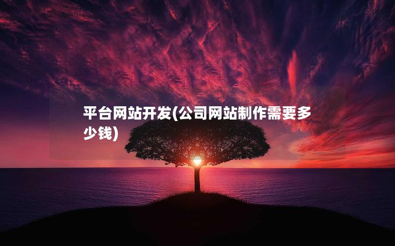 平台网站开发(公司网站制作需要多少钱)