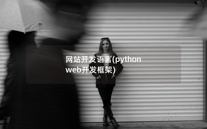 网站开发语言(python web开发框架)