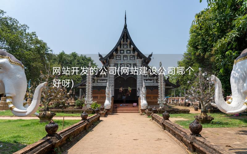 网站开发的公司(网站建设公司哪个好呀)