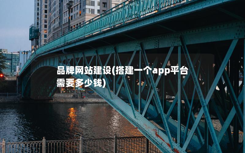 品牌网站建设(搭建一个app平台需要多少钱)