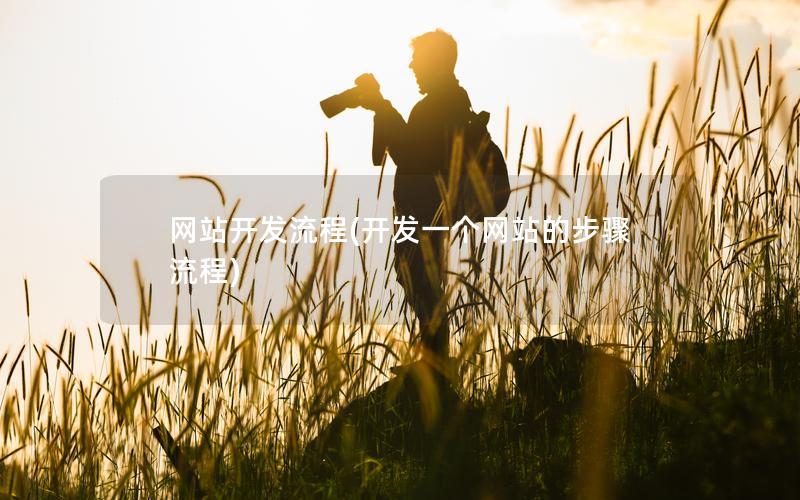 网站开发流程(开发一个网站的步骤流程)