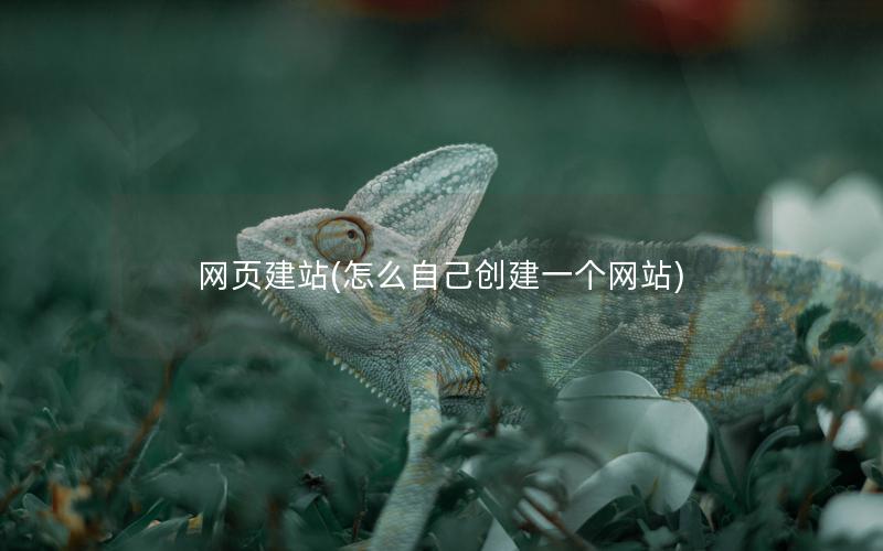 网页建站(怎么自己创建一个网站)