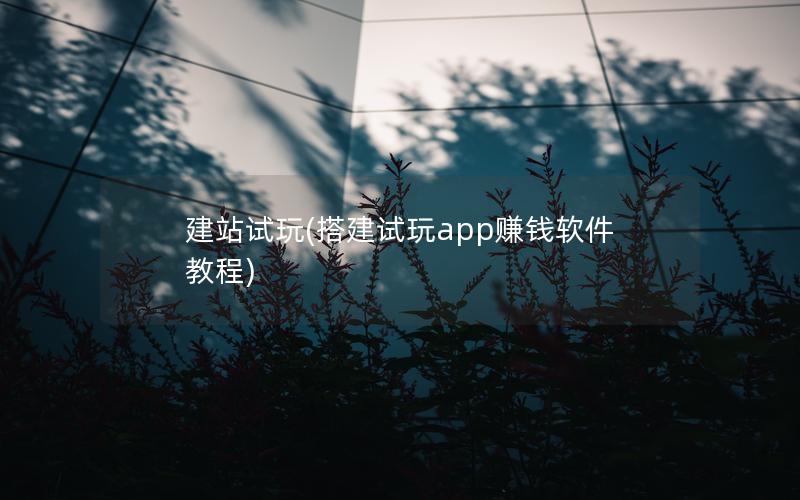建站试玩(搭建试玩app赚钱软件教程)