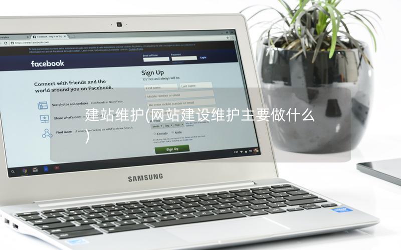 建站维护(网站建设维护主要做什么)