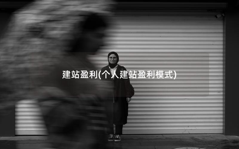 建站盈利(个人建站盈利模式)