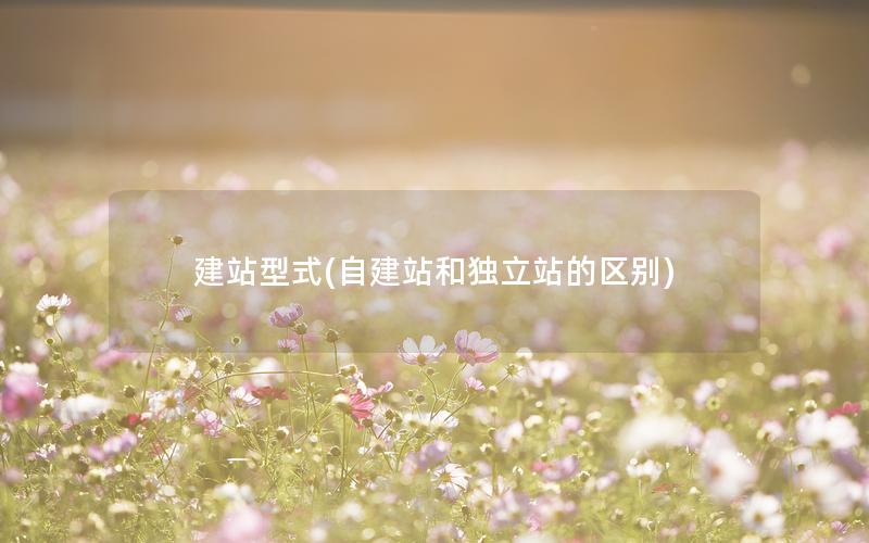 建站型式(自建站和独立站的区别)