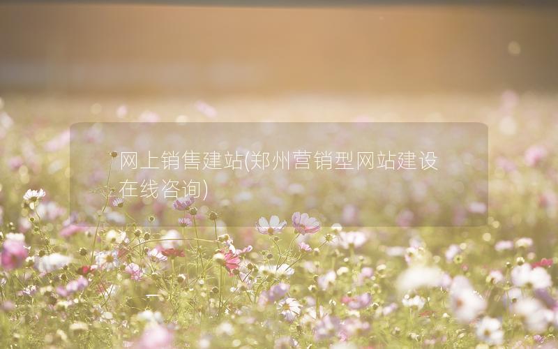 网上销售建站(郑州营销型网站建设在线咨询)