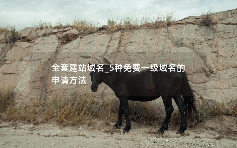 全套建站域名_5种免费一级域名的申请方法