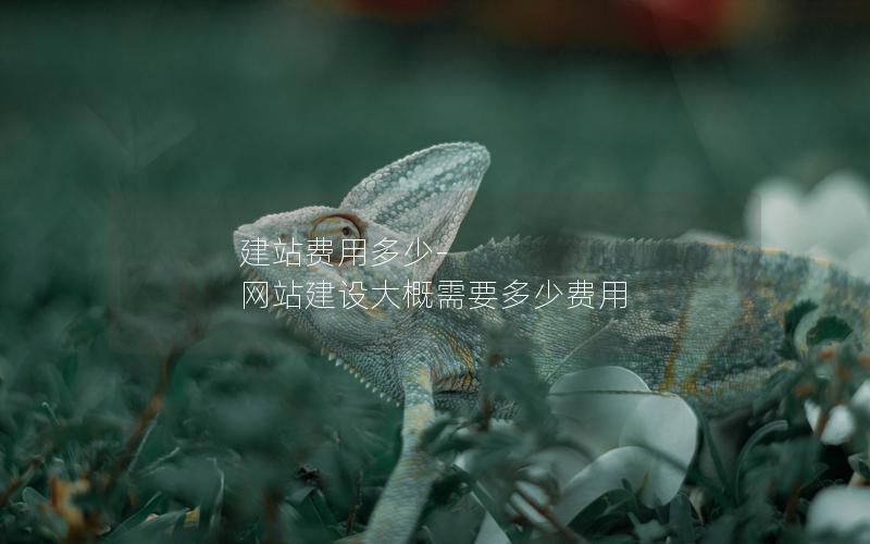 建站费用多少-网站建设大概需要多少费用
