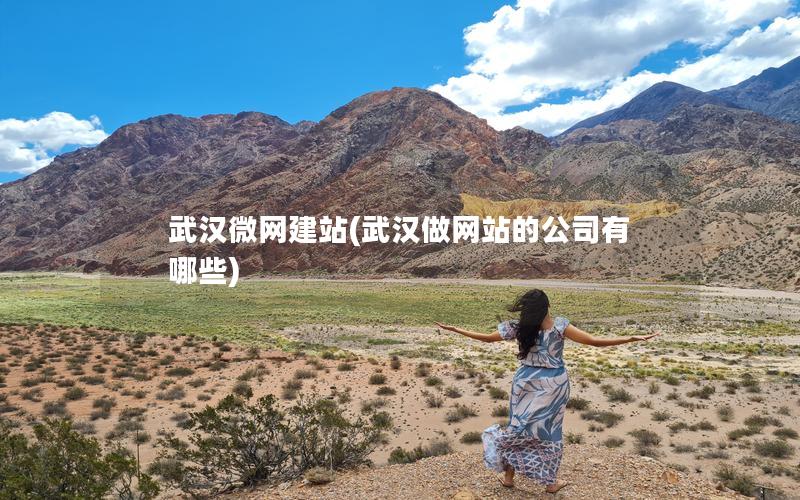 武汉微网建站(武汉做网站的公司有哪些)