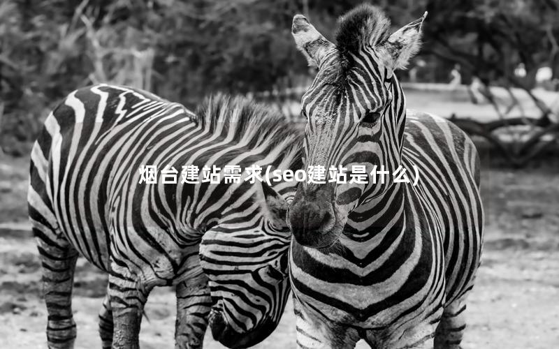 烟台建站需求(seo建站是什么)