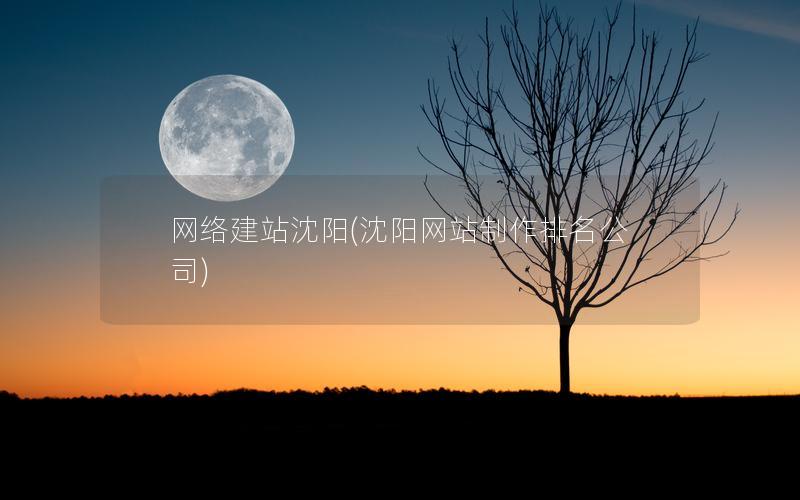 网络建站沈阳(沈阳网站制作排名公司)
