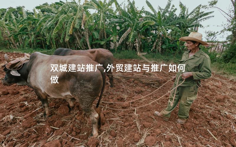 双城建站推广,外贸建站与推广如何做