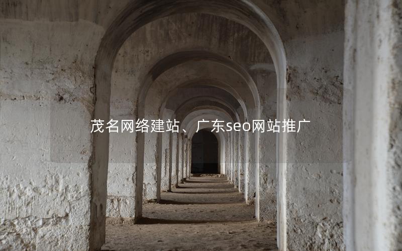茂名网络建站、广东seo网站推广
