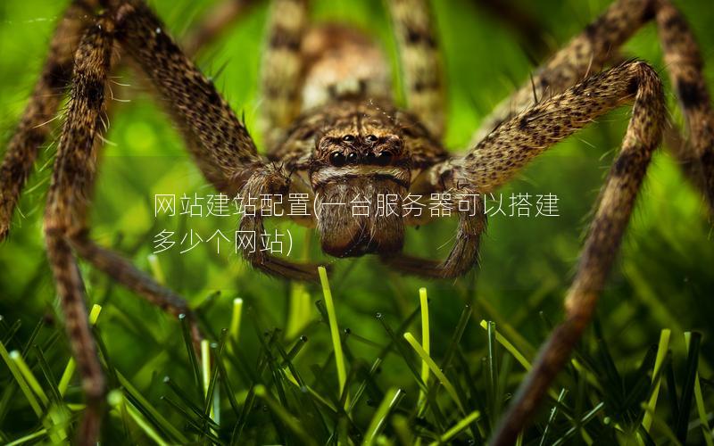 网站建站配置(一台服务器可以搭建多少个网站)