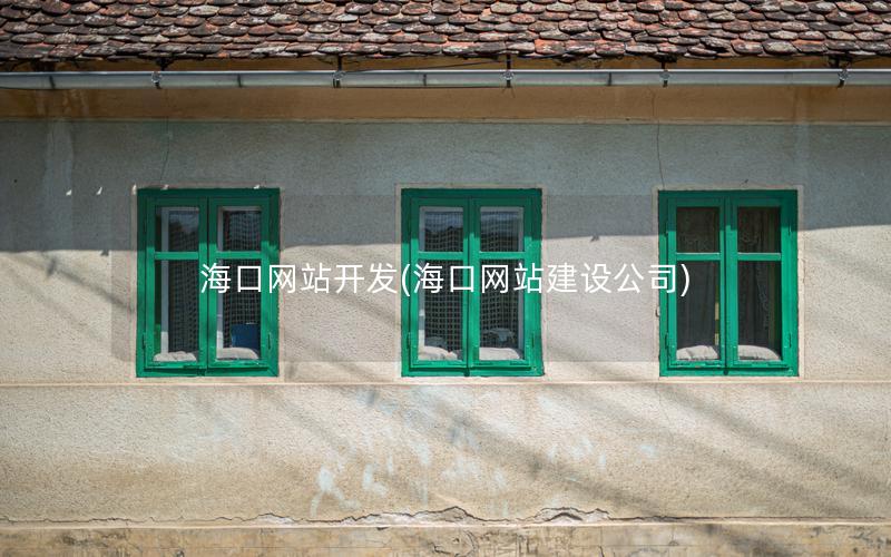 海口网站开发(海口网站建设公司) 海口网站开发(海口网站建设公司)