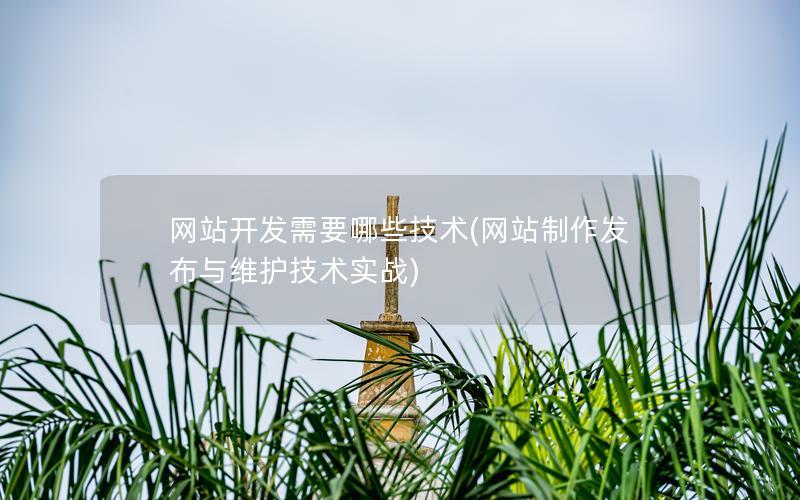 网站开发需要哪些技术(网站制作发布与维护技术实战)