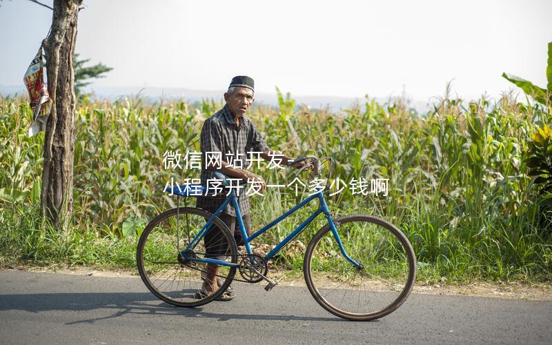 微信网站开发-小程序开发一个多少钱啊 微信网站开发-小程序开发一个多少钱啊