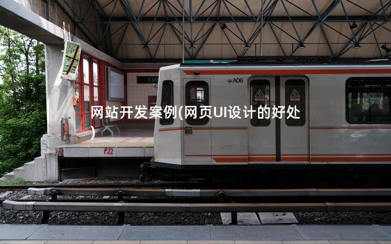 网站开发案例(网页UI设计的好处) 网站开发案例(网页UI设计的好处)