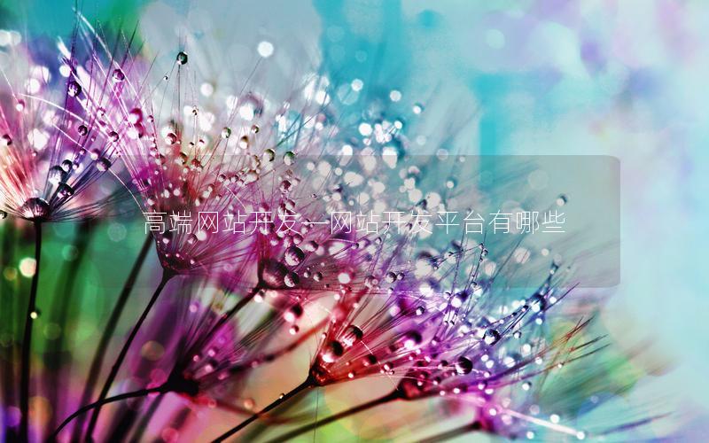 高端网站开发—网站开发平台有哪些 高端网站开发—网站开发平台有哪些