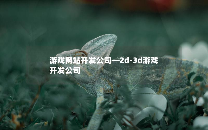 游戏网站开发公司—2d-3d游戏开发公司 游戏网站开发公司—2d-3d游戏开发公司