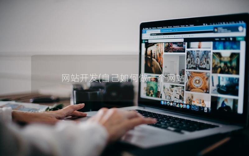 网站开发(自己如何做一个网站) 网站开发(自己如何做一个网站)