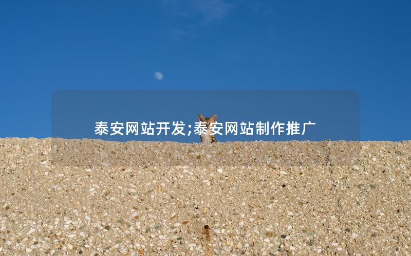 泰安网站开发;泰安网站制作推广 泰安网站开发;泰安网站制作推广