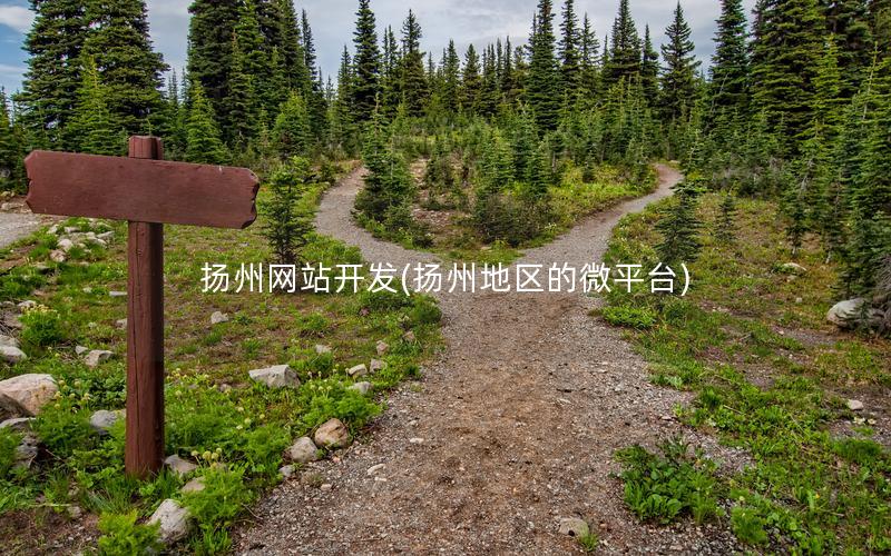 扬州网站开发(扬州地区的微平台) 扬州网站开发(扬州地区的微平台)