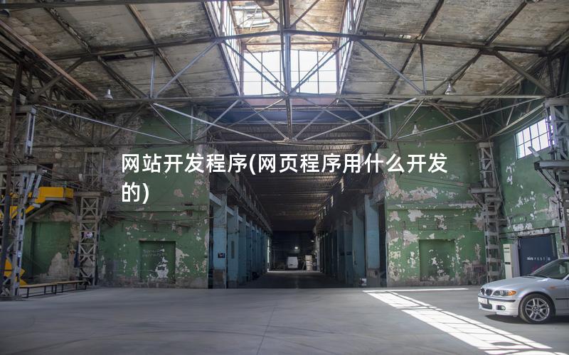 网站开发程序(网页程序用什么开发的)