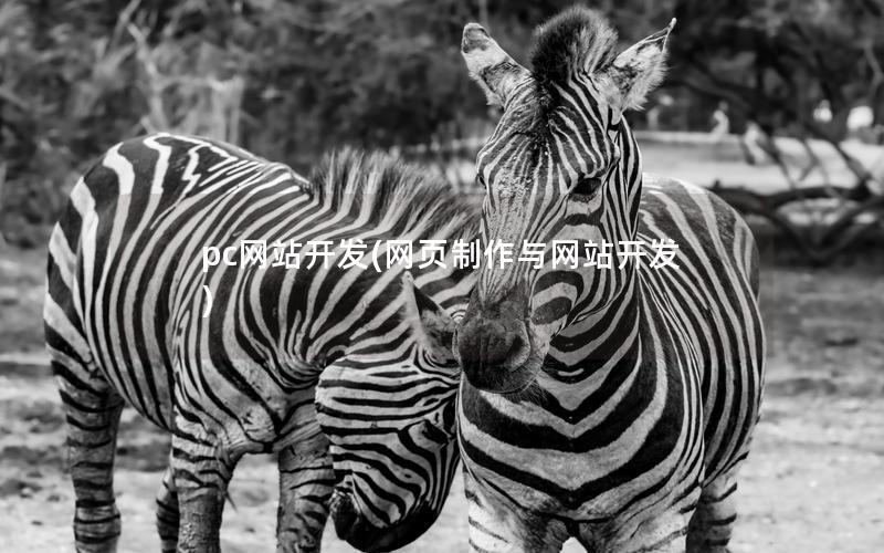 pc网站开发(网页制作与网站开发) pc网站开发(网页制作与网站开发)