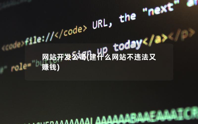 网站开发公司(建什么网站不违法又赚钱) 网站开发公司(建什么网站不违法又赚钱)