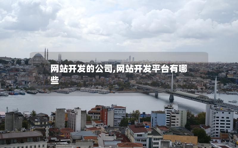 网站开发的公司,网站开发平台有哪些 网站开发的公司,网站开发平台有哪些