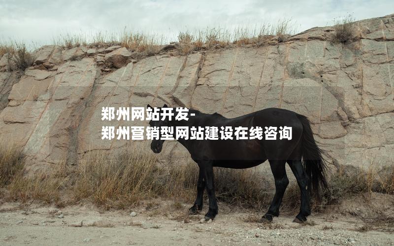 郑州网站开发-郑州营销型网站建设在线咨询 郑州网站开发-郑州营销型网站建设在线咨询