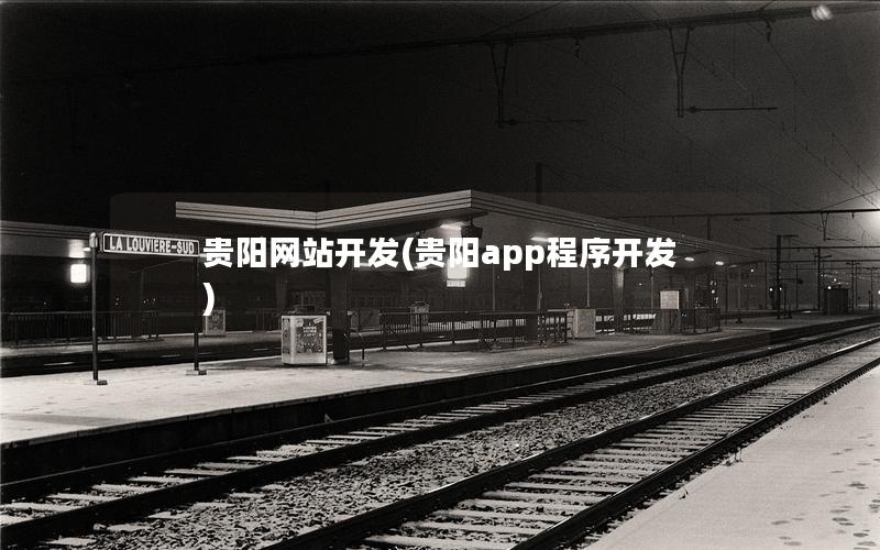 贵阳网站开发(贵阳app程序开发)