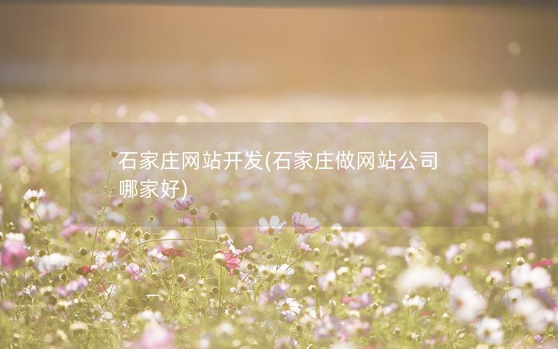 石家庄网站开发(石家庄做网站公司哪家好) 石家庄网站开发(石家庄做网站公司哪家好)