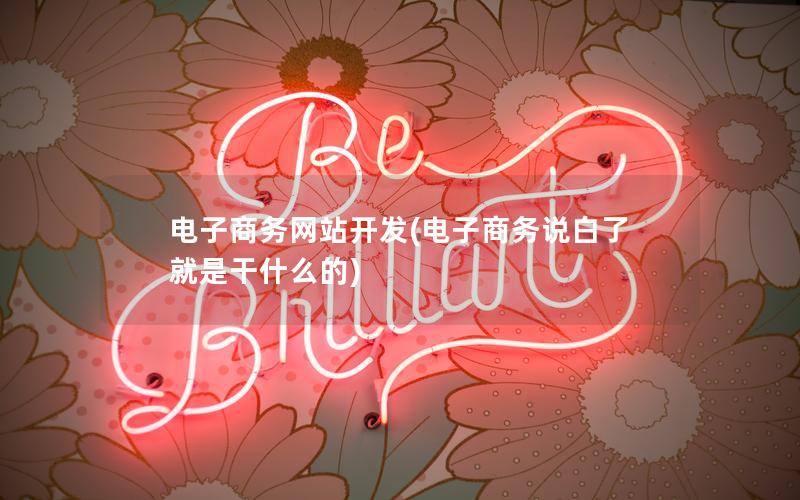 电子商务网站开发(电子商务说白了就是干什么的) 电子商务网站开发(电子商务说白了就是干什么的)