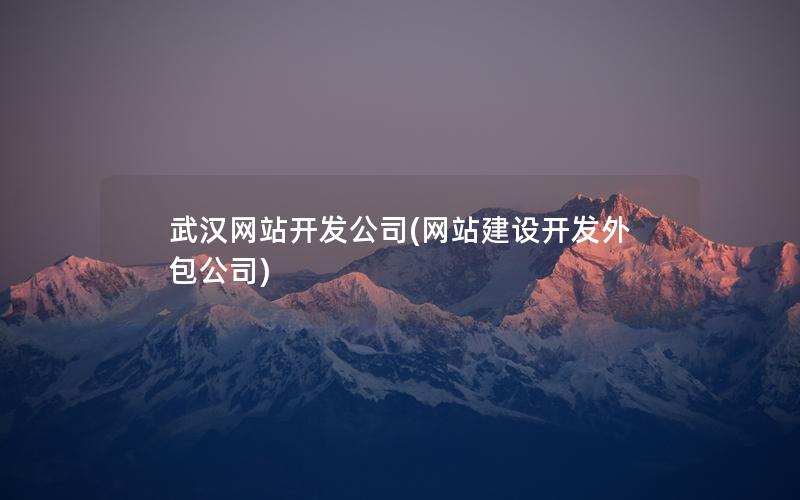 武汉网站开发公司(网站建设开发外包公司)