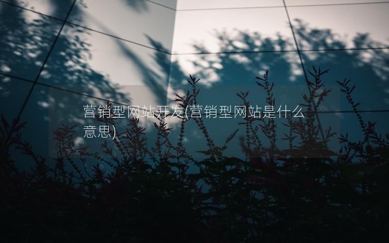 营销型网站开发(营销型网站是什么意思) 营销型网站开发(营销型网站是什么意思)